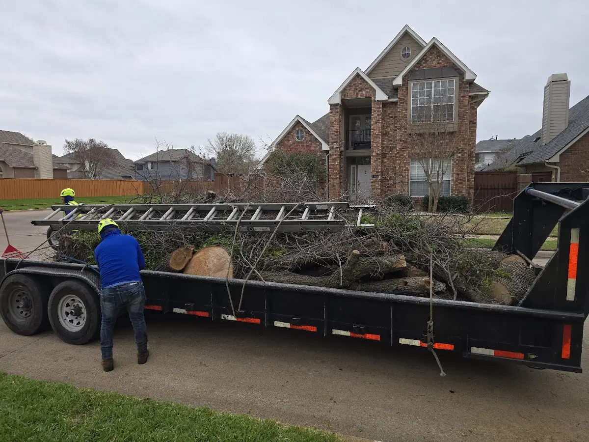 Expert Tree Removal with proper safety equipment in Mc Leansboro